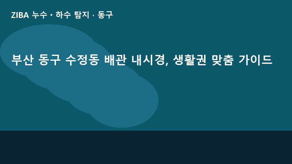 부산 동구 수정동 배관 내시경, 생활권 맞춤 가이드