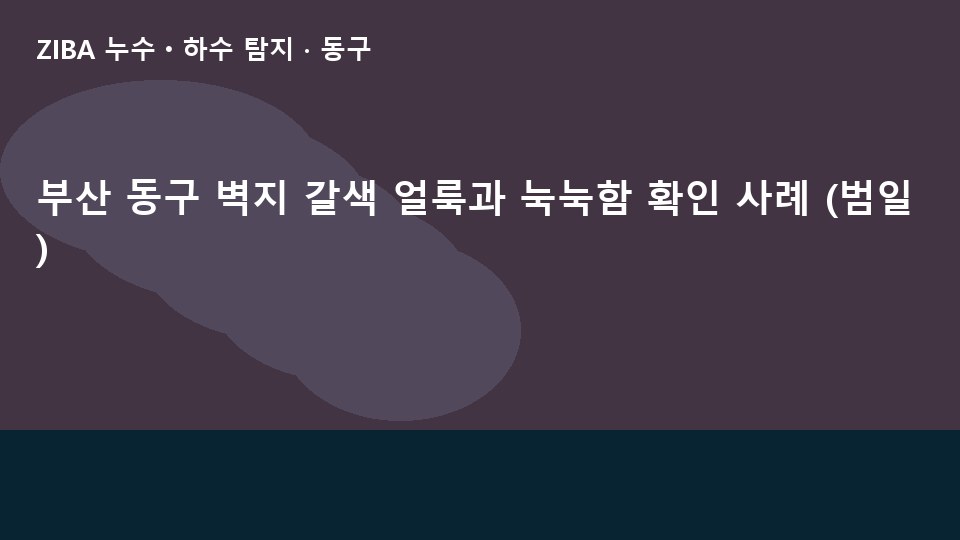 부산 동구 벽지 갈색 얼룩과 눅눅함 확인 사례 (범일)